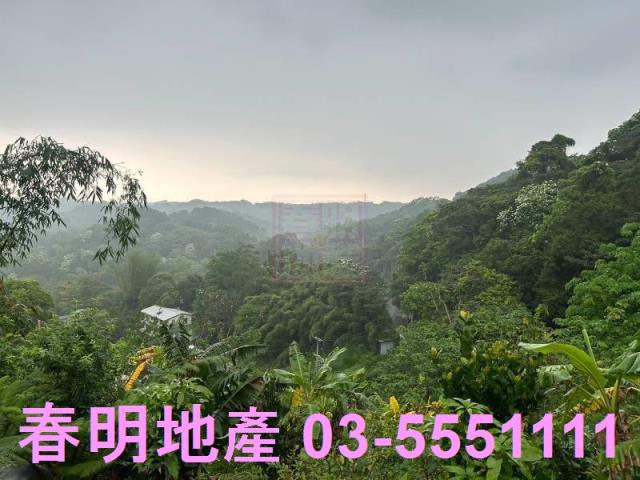 新竹農地-13
