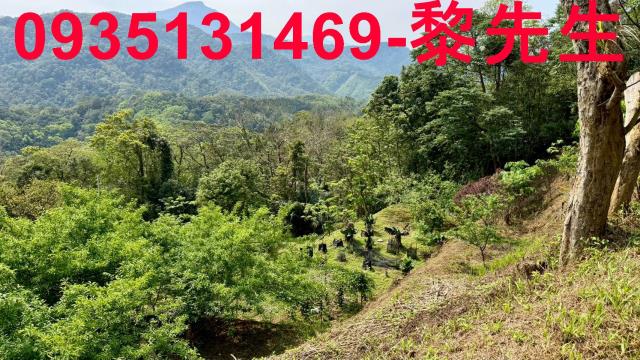 新竹農地-2