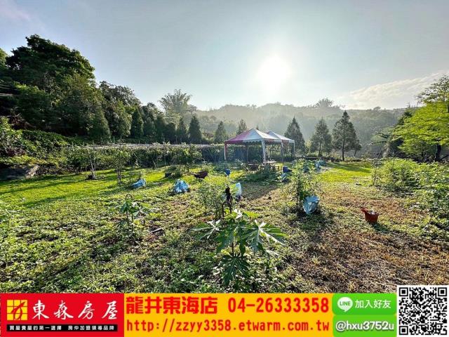 台中東勢農牧用地-5