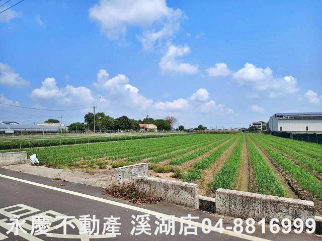 彰化田尾農地-3
