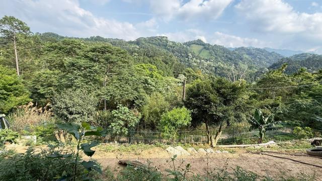 新竹峨眉農地-12