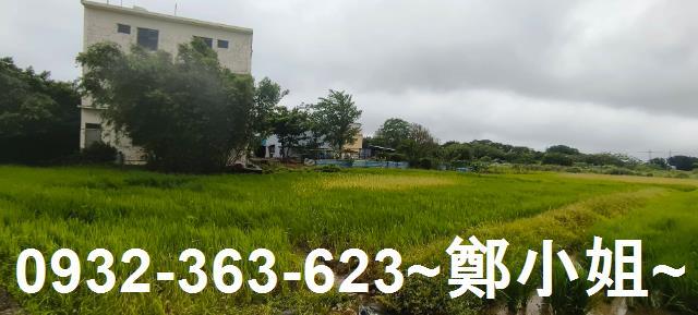 桃園大園農地-1