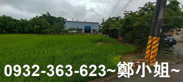桃園大園農地-2