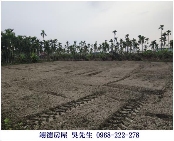 麟洛農地-2