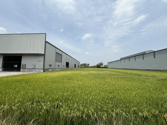 高雄阿蓮農地-12