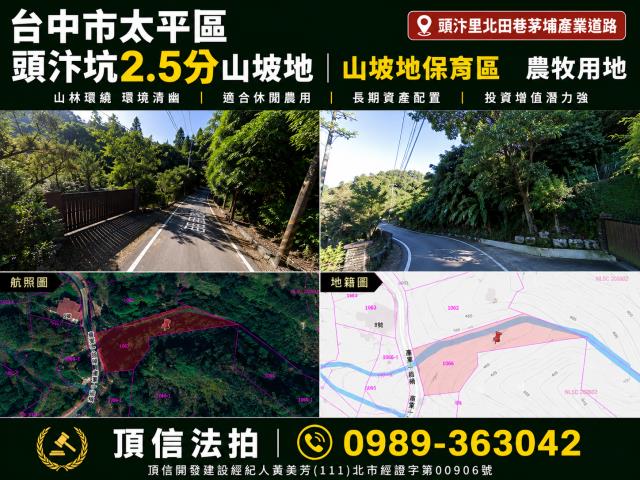 太平法拍農地-1