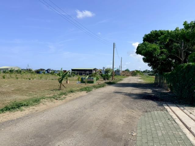 仁德農地-5
