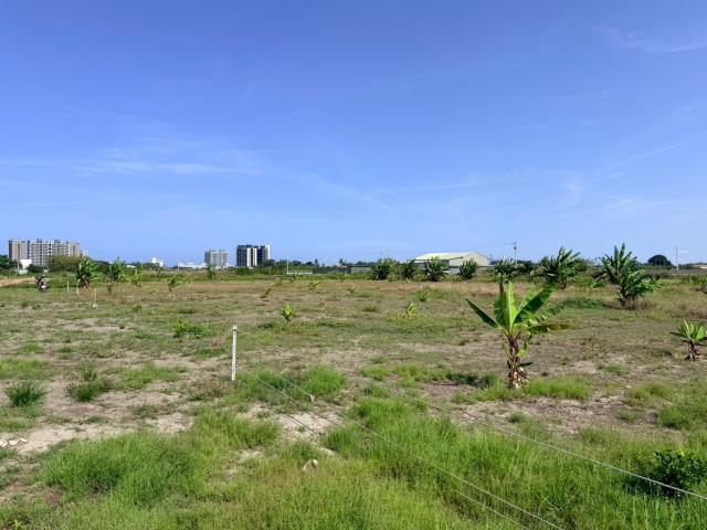 仁德農地-6