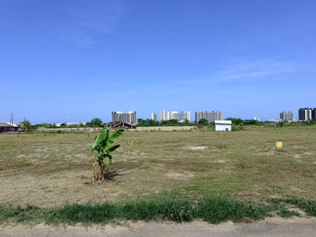 仁德農地-7