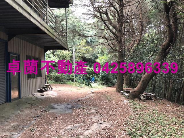 卓蘭林地-5