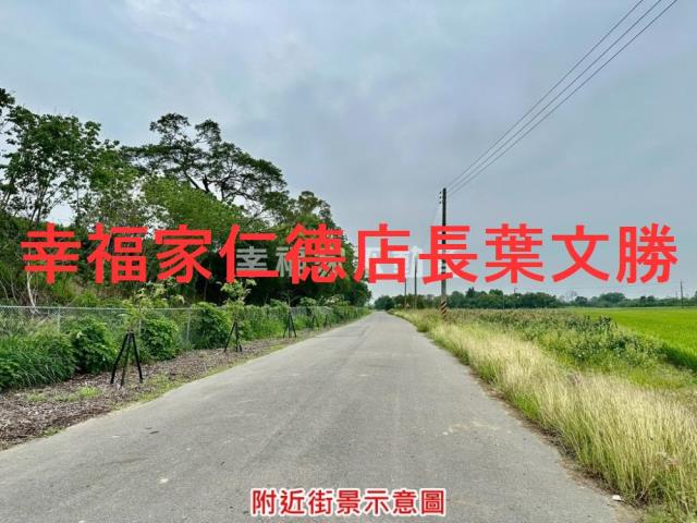 台南善化農地-15