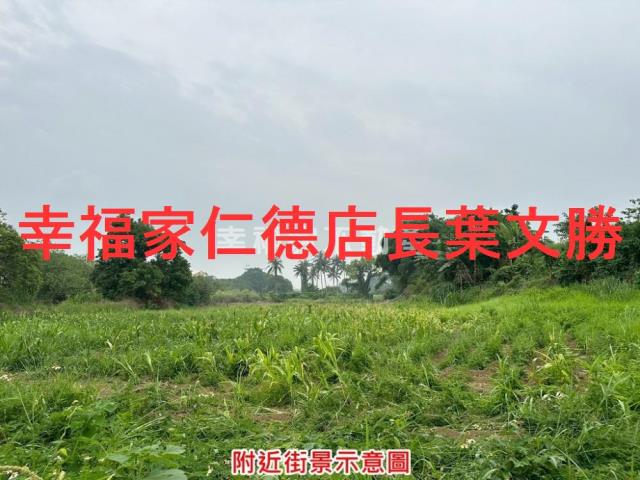 善化農地-11