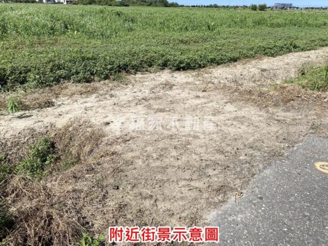 七股農地-3