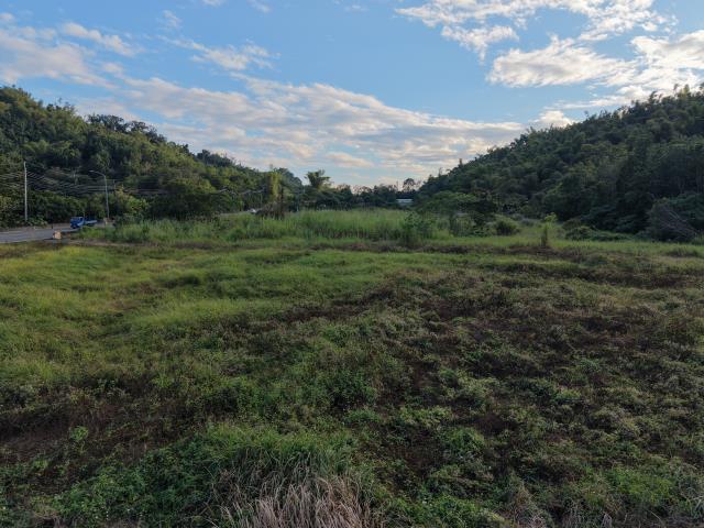 內門農地-10