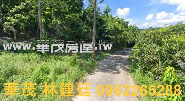 玉井農地拍賣-2
