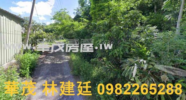 玉井農地拍賣-4
