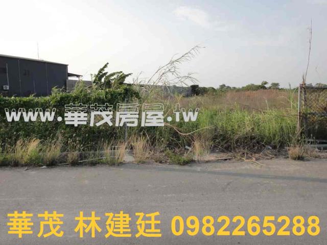 台南法拍農地-5