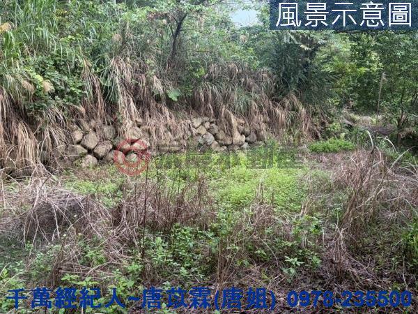 橫山山坡地-3