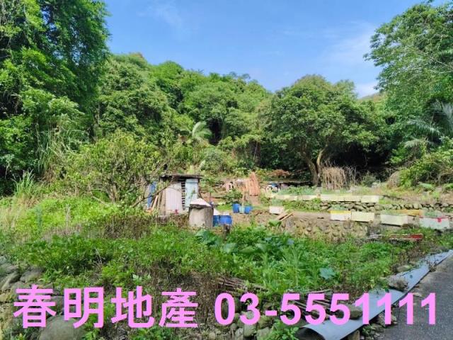 新竹農地-15