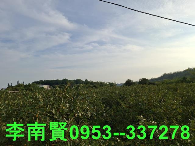 玉井農地-8