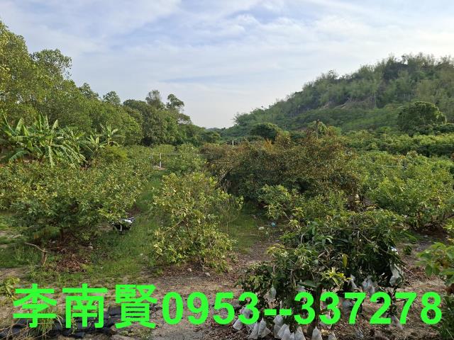 玉井農地-9