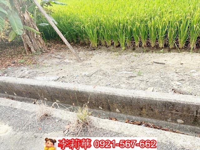 台南農地-3