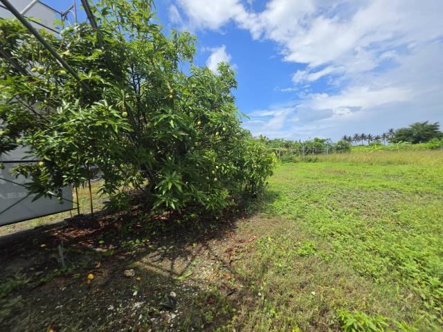 高雄岡山農地-4