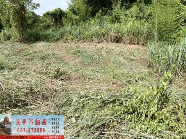 苗栗公館農地-1
