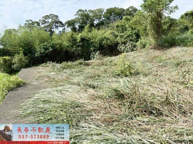 苗栗公館農地-2