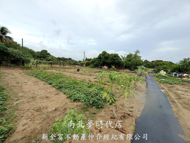 高雄路竹農地-14