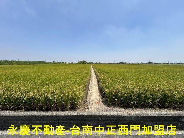 台南柳營農地-1