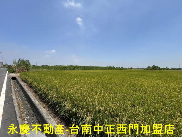 台南柳營農地-3