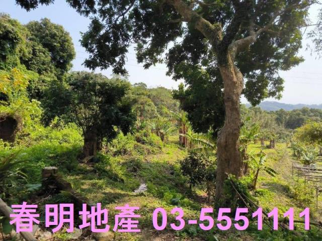 新竹竹東工業地-1