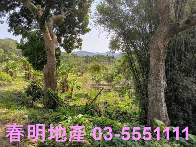 新竹竹東工業地-2