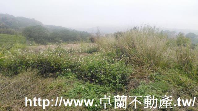 苗栗農地-6